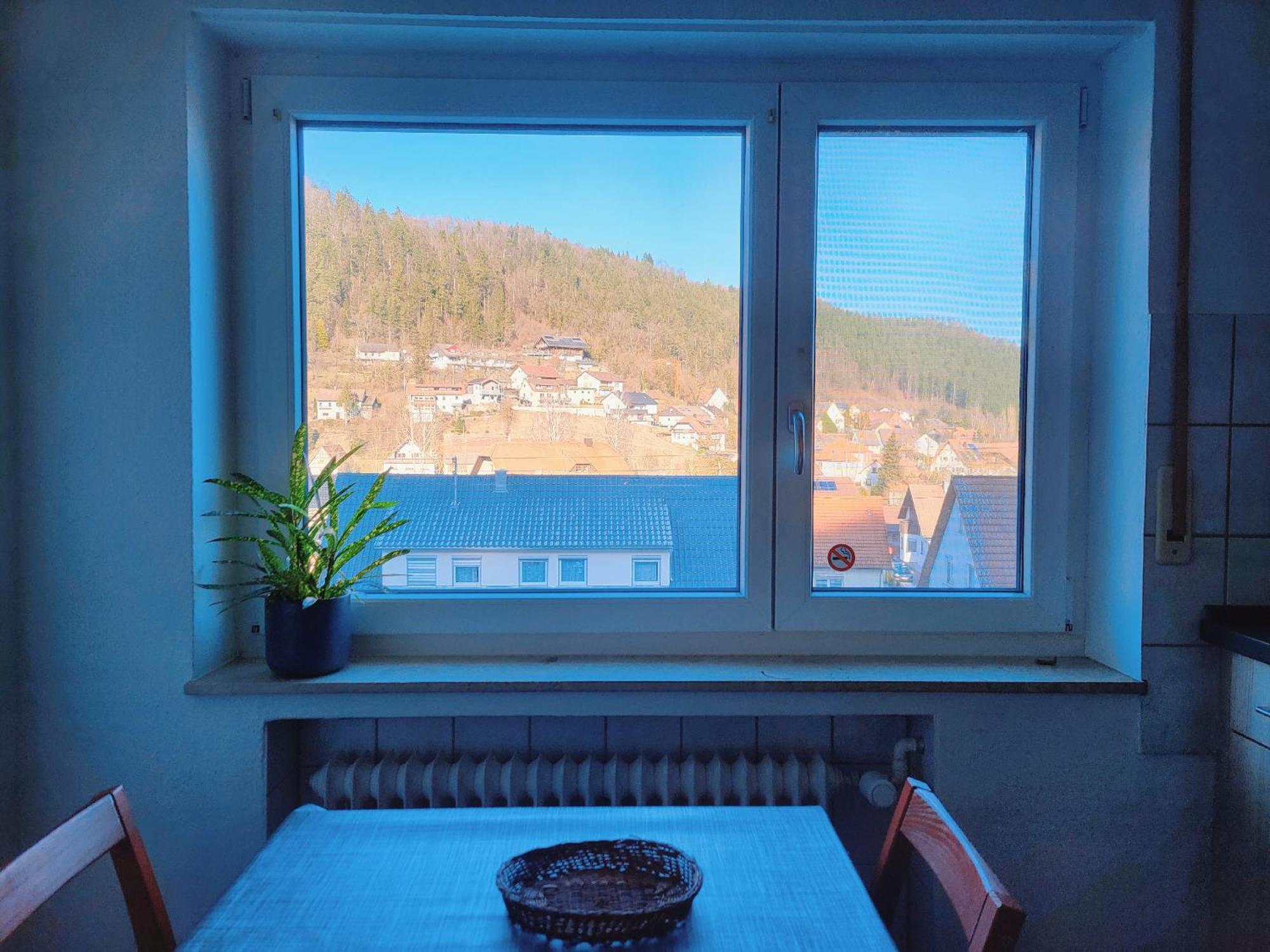 Privates Zimmer In Unterkunft Mit Glatttal Blick In Wasserschloss Nahe Зулц-ам-Некар Екстериор снимка